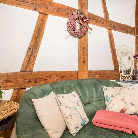 Lemkamp Gross 马克多夫